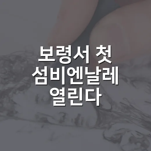 보령서 첫 섬비엔날레 열린다