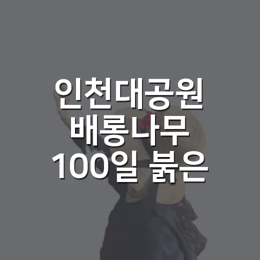 인천대공원 배롱나무 100일 붉은 꽃 향연
