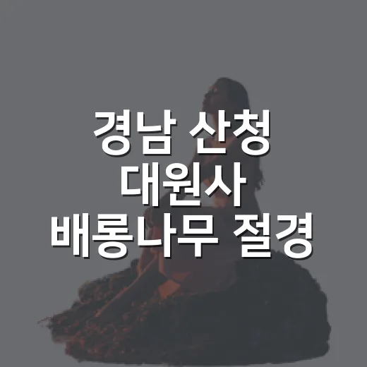 경남 산청 대원사 배롱나무 절경