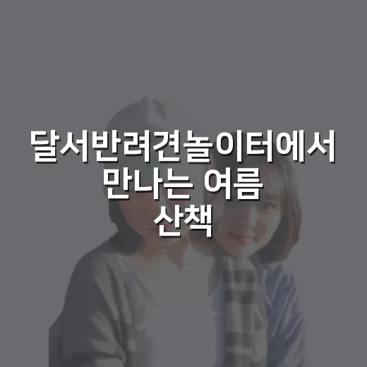 달서반려견놀이터에서 만나는 여름 산책의 즐거움