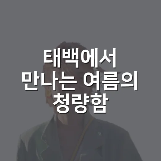 태백에서 만나는 여름의 청량함
