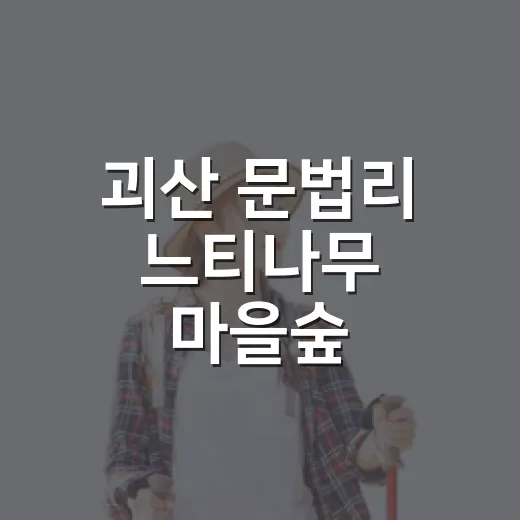 괴산 문법리 느티나무 마을숲, 천연 에어컨 쉼터