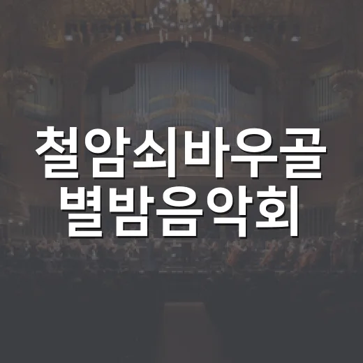 철암쇠바우골 별밤음악회, 8월의 감동 무대