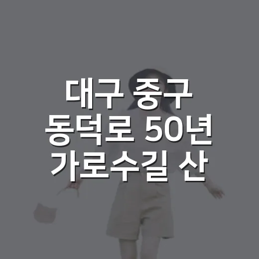 대구 중구 동덕로 50년 가로수길 산책