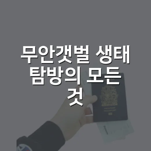 무안갯벌 생태 탐방의 모든 것