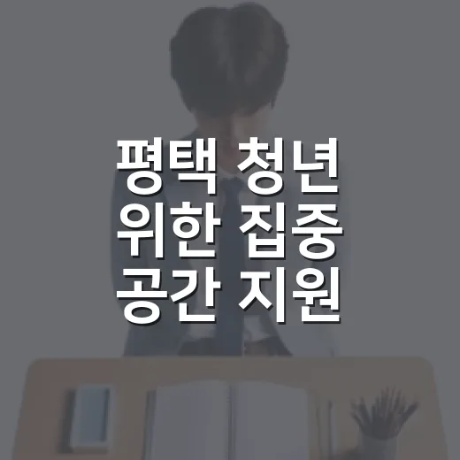 평택 청년 위한 집중 공간 지원