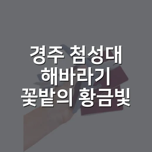 경주 첨성대 해바라기 꽃밭의 황금빛 향연