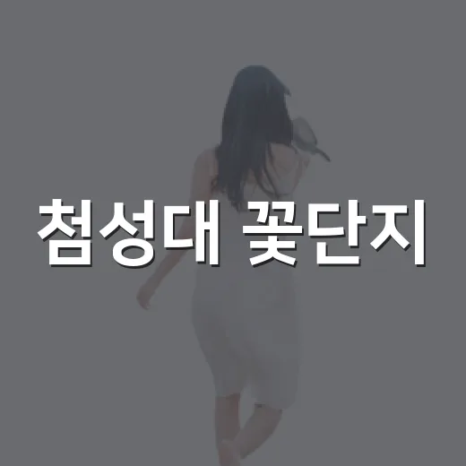 첨성대 꽃단지, 화사한 여름의 역사와 자연