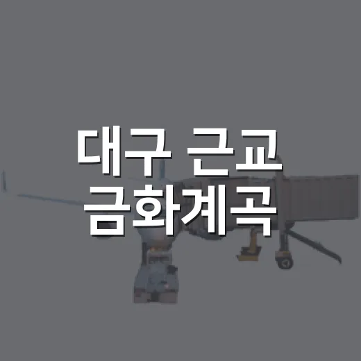 대구 근교 금화계곡, 가족 물놀이 명소