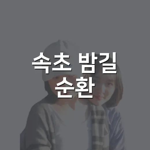 속초 밤길 순환, 특별한 체험과 쇼핑