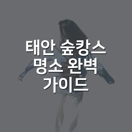 태안 숲캉스 명소 완벽 가이드