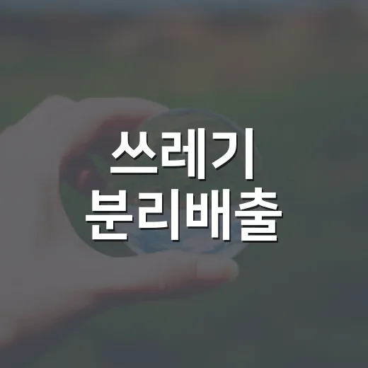 쓰레기 분리배출, 올바른 실천법