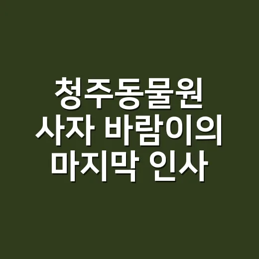 청주동물원 사자 바람이의 마지막 인사