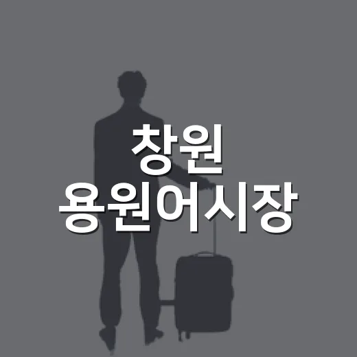 창원 용원어시장, 여름 바다의 싱싱한 일상