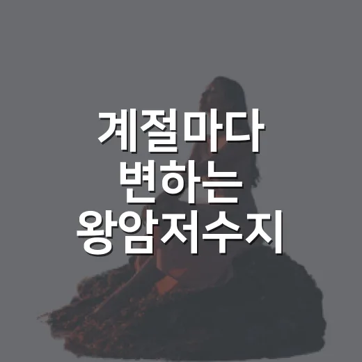 계절마다 변하는 왕암저수지 산책길