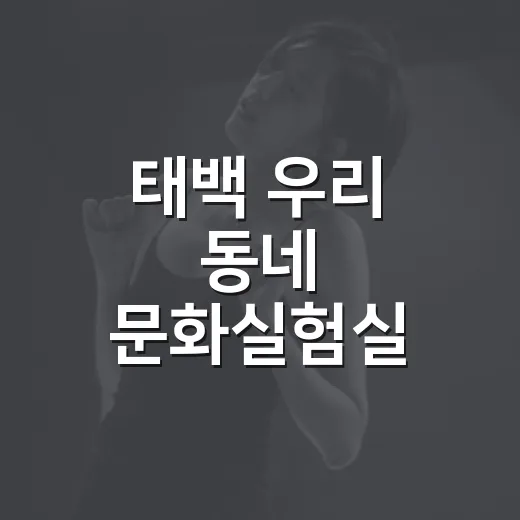 태백 우리 동네 문화실험실 참여자 모집