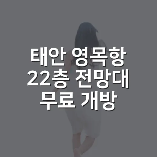 태안 영목항 22층 전망대 무료 개방 소식