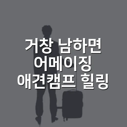 거창 남하면 어메이징 애견캠프 힐링 체험
