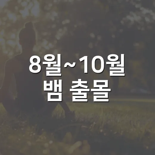 8월~10월 뱀 출몰, 안전 대처법