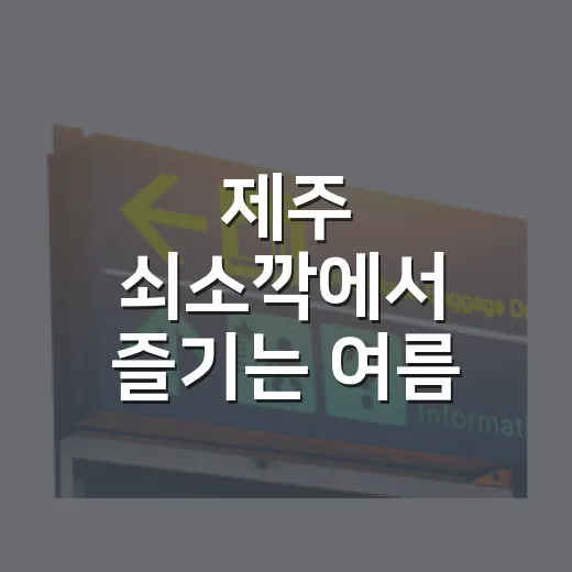 제주 쇠소깍에서 즐기는 여름 카약과 테우 체험