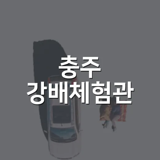충주 강배체험관, 여름철 시원한 실내 명소