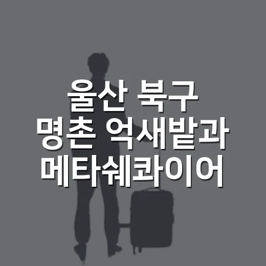 울산 북구 명촌 억새밭과 메타쉐콰이어길 야간 산책