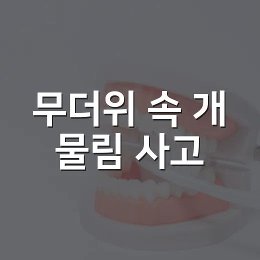 무더위 속 개 물림 사고, 철저한 예방과 신속한 대처가 필수