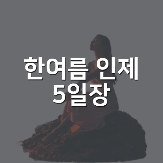 한여름 인제 5일장, 전통의 맛과 멋