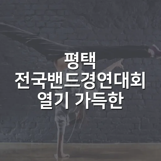 평택 전국밴드경연대회 열기 가득한 현장