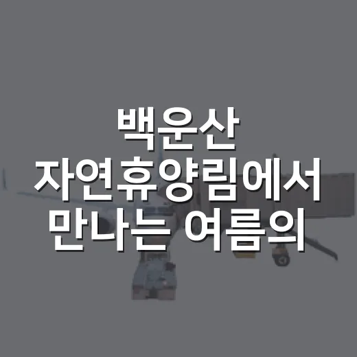 백운산 자연휴양림에서 만나는 여름의 쉼표