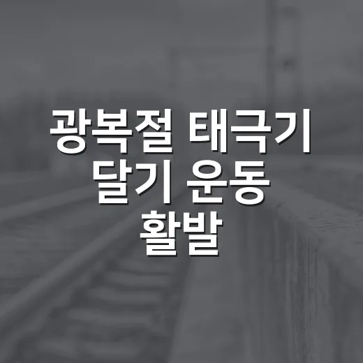 광복절 태극기 달기 운동 활발