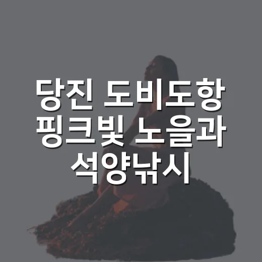 당진 도비도항 핑크빛 노을과 석양낚시의 매력