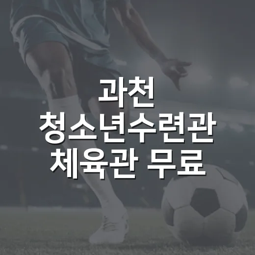 과천 청소년수련관 체육관 무료 이용 체험기