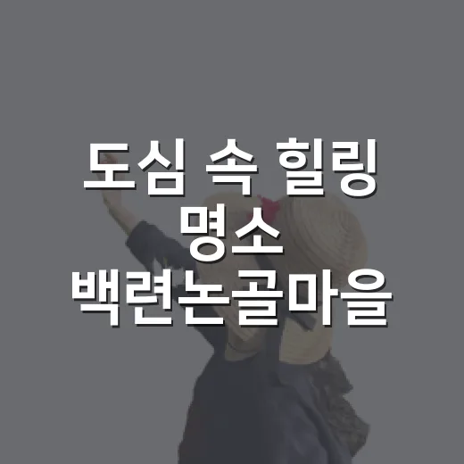 도심 속 힐링 명소 백련논골마을 놀자숲