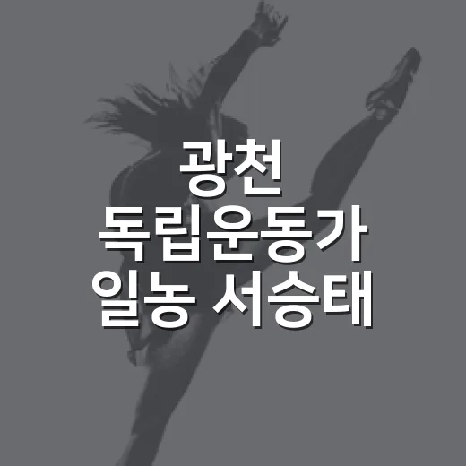 광천 독립운동가 일농 서승태 선생 광복음악회 현장