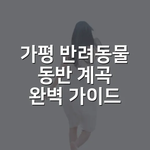가평 반려동물 동반 계곡 완벽 가이드