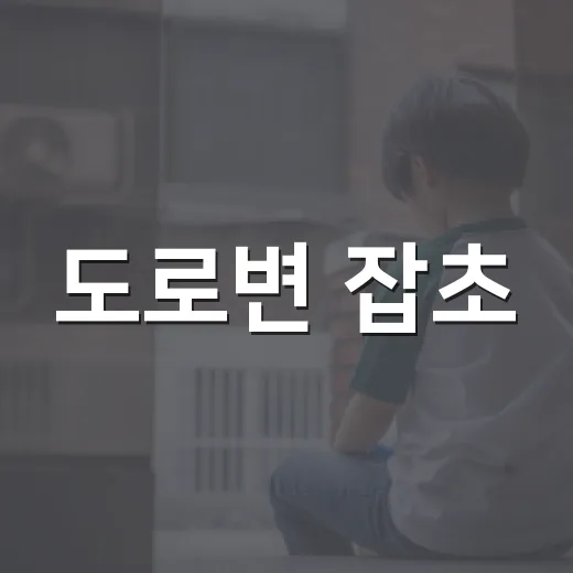 도로변 잡초·잡목 집중정비로 안전한 보행길 조성