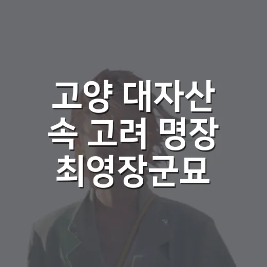 고양 대자산 속 고려 명장 최영장군묘