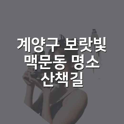 계양구 보랏빛 맥문동 명소 산책길
