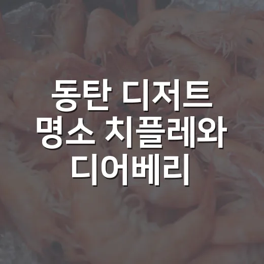 동탄 디저트 명소 치플레와 디어베리