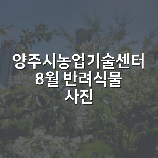 양주시농업기술센터 8월 반려식물 사진 공모전 개최