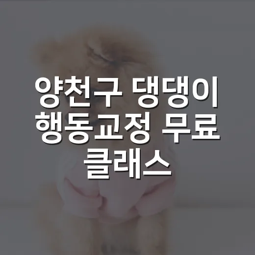 양천구 댕댕이 행동교정 무료 클래스