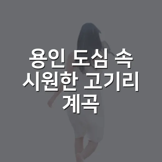 용인 도심 속 시원한 고기리 계곡