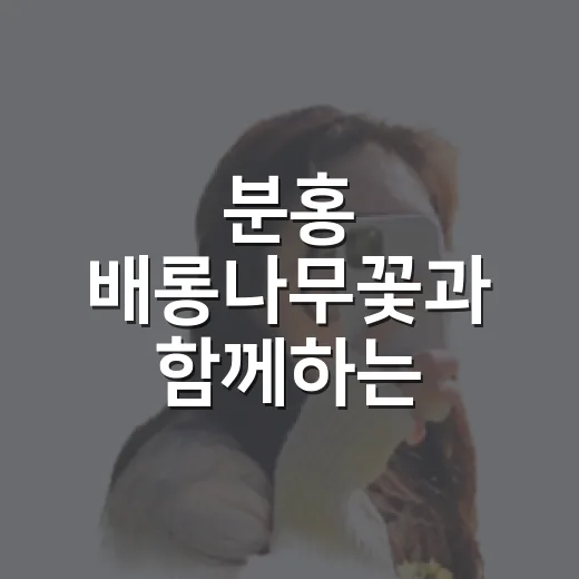 분홍 배롱나무꽃과 함께하는 대양정·추보당 여름 풍경