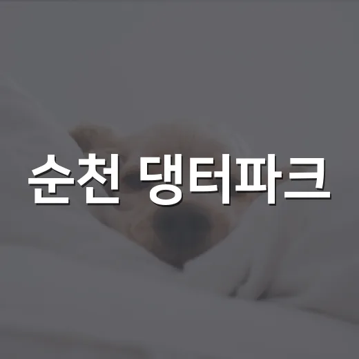 순천 댕터파크, 반려견과 신나는 여름 축제