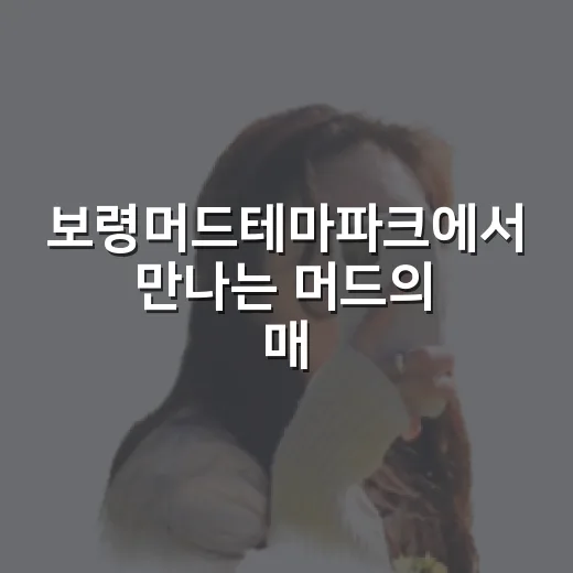 보령머드테마파크에서 만나는 머드의 매력
