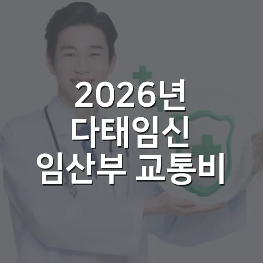 2026년 다태임신 임산부 교통비 지원 시작