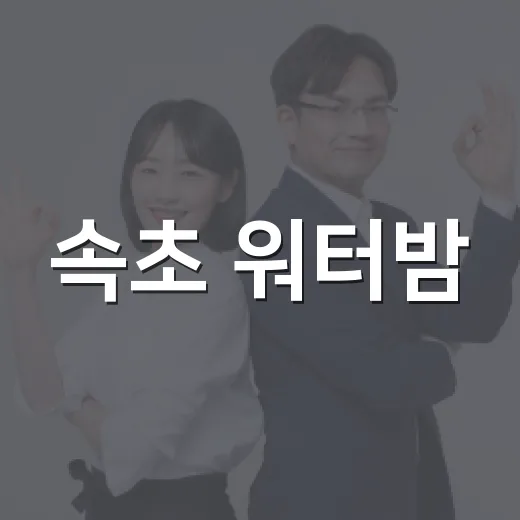 속초 워터밤, 안전이 최우선입니다