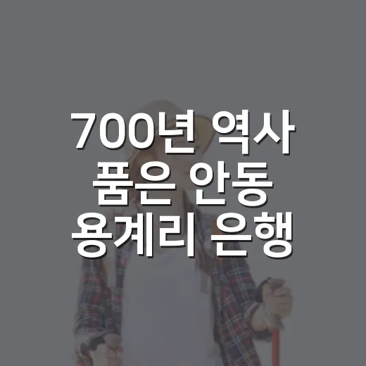 700년 역사 품은 안동 용계리 은행나무