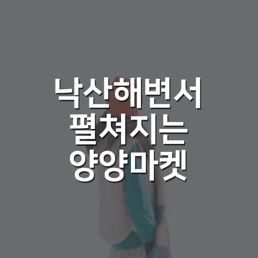 낙산해변서 펼쳐지는 양양마켓 야시장